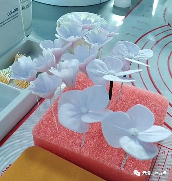 学习，我们是认真的