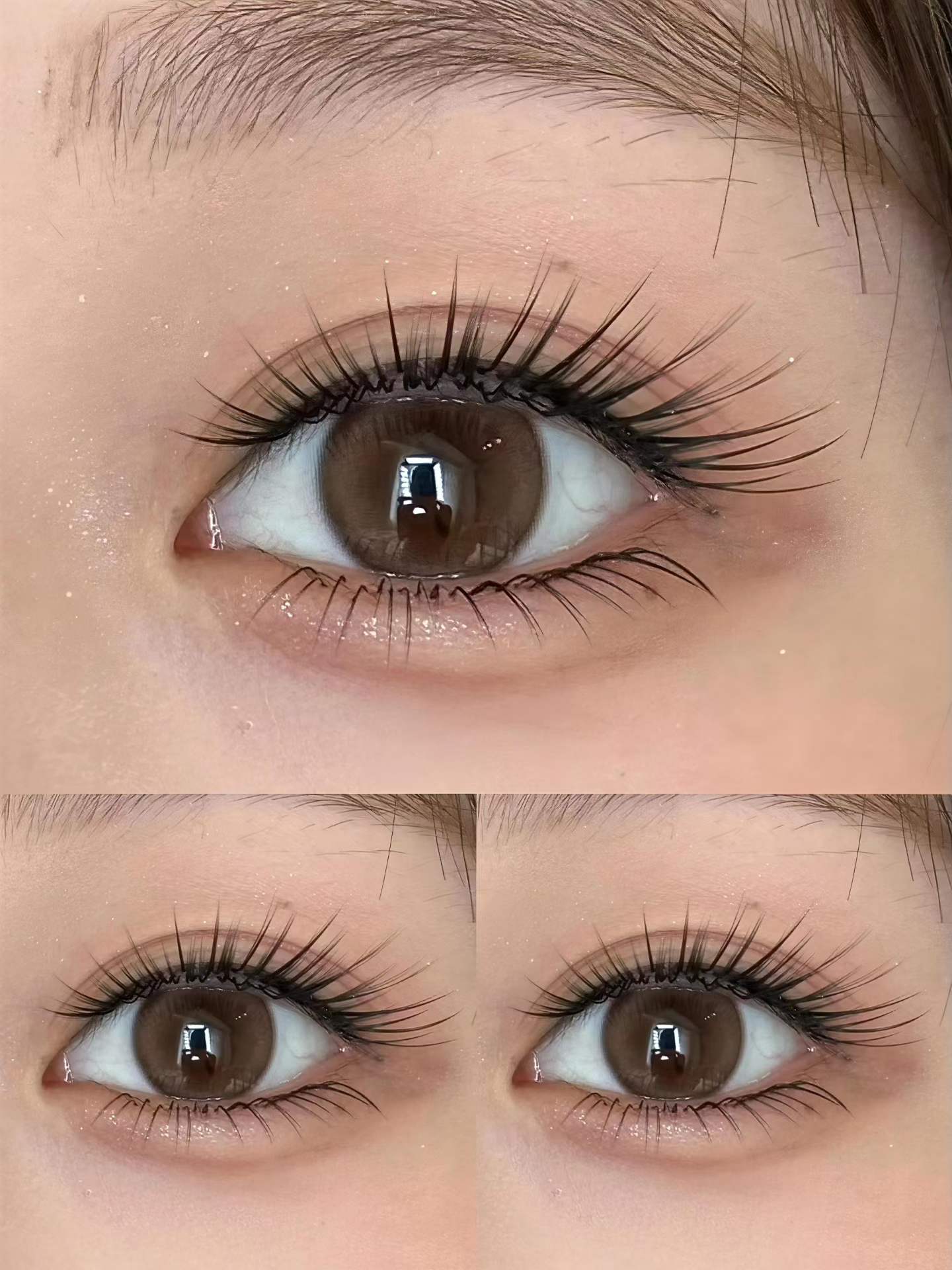 金华美睫培训学校怎么选知美人美睫培训学校怎么样